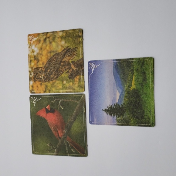 Ten Interchangeable Cardboard Coasters With Three Metal Holders Birds Nature - Picture 4 of 6